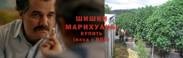 спайс Пересвет