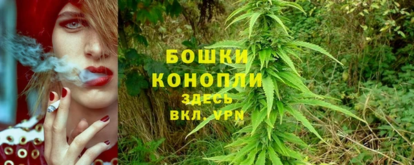 спайс Пересвет