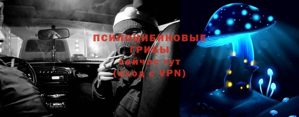 твердый Переславль-Залесский