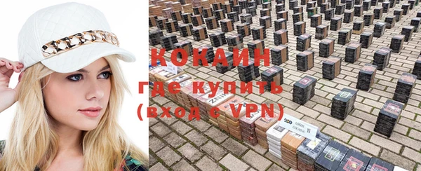 индика Воткинск