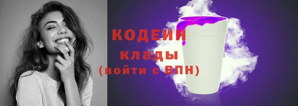мет Пестово
